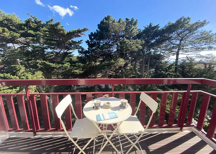 Royal Moulleau - T2 De Standing A Le Royal Moulleau, Vue Bassin Mae-9841 Apartmán